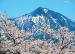 写真セミナーで撮った写真