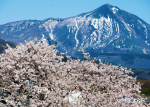 写真セミナーで撮った写真