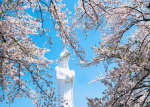 写真セミナーで撮った写真
