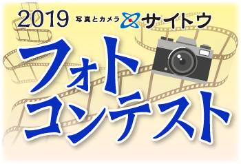 2019フォトコンテスト